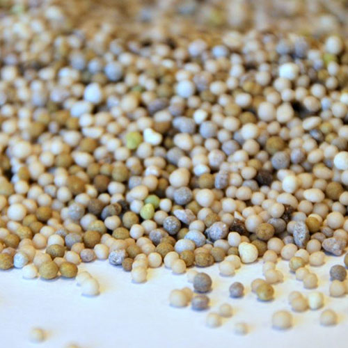 Sedum onderhoud conditioner korrels bemesting groendak