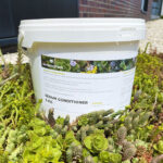 Sedum groendak conditioner