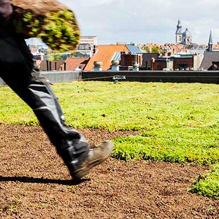 intensief groendak aanleggen