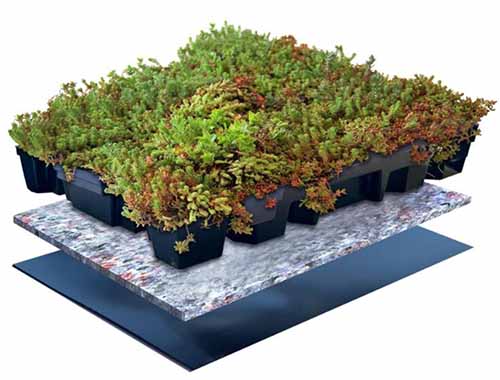 Lichtgewicht sedum cassette tray