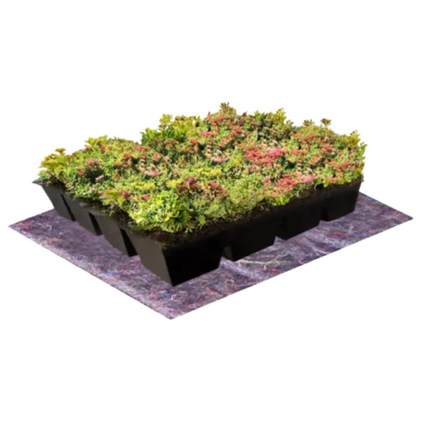 Sedum cassette inclusief beschermdoek