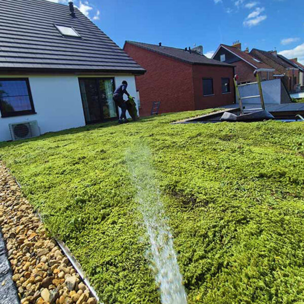 Sedumdak pakket voor gemeente Gent Subsidie