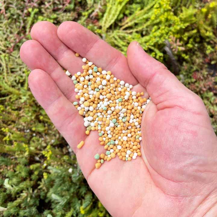 Welke mest gebruik je voor je sedumdak?